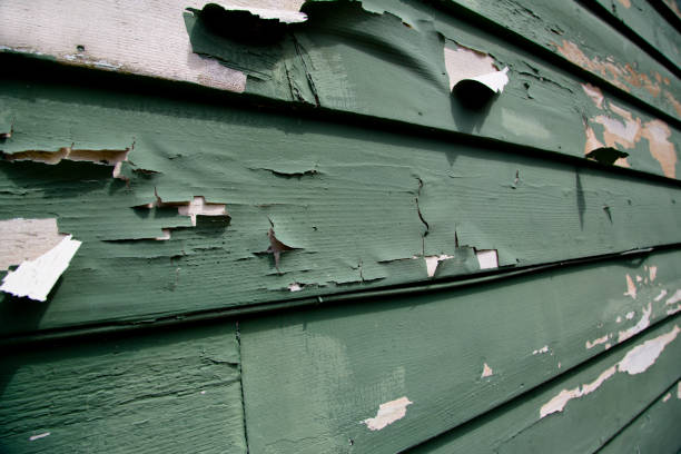 Best Stucco Siding  in French Valley, CA