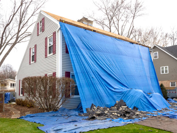 Affordable siding repair and maintenance services in French Valley, CA